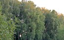 Пруд усадьбы Мамонтовых