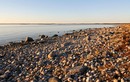 Берег Большого Заяцкого острова