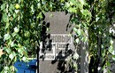 Могила родителей маршала В. И. Чуйкова
